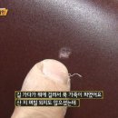 수선의달인 - 남양주시 호평로45번길 23 | 수선의달인