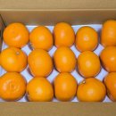 적음농장 이미지