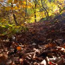 수암계곡샘 이미지