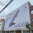 나무포레스트