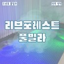 영덕정육점 | [#내돈내산] 경북 영덕 리브포레스트 가성비 오션뷰...2 객실 후기 (나는솔로 숙소) + 영덕대게 가격...