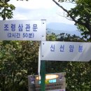 울산사랑의지팡이 이미지