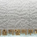 서울리엘피부과의원 이미지