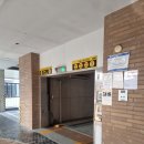 호텔콘트 | 남포동호텔추천 콘트호텔 내돈내산 후기