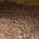 조방해수탕 이미지