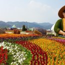 영동군 노인장애인복지관 이미지