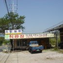 배감농장 Daum카페