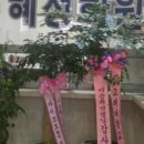 혜성코멧학원 - 강남구 삼성로67길 18 | 혜성코멧학원