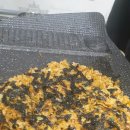 민서네대박전복