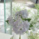 롯데리아 충남대 이미지