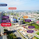 이더펠리체 이미지