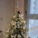 상아지네 이미지