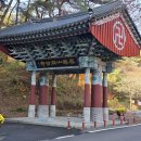 승원(주)콩트비 | (공주 여행) 마곡사의 단풍 절정은 11월 둘째주