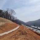 유석 선생 묘 및 신도비 이미지