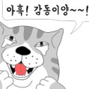 자연동침 이미지