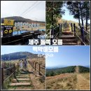 약초사랑성산한의원 | 제주 오름 추천 제주 동쪽 오름 제주도 백약이오름 시간 주차