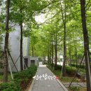 동탄2신안탑공인중개사사무소 이미지