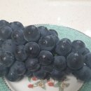 황간공인중개사사무소 이미지