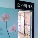 요가라테스 이미지