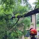 경기남부도로 이미지