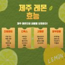 레몬농장 이미지
