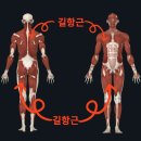 무지개슈퍼 이미지