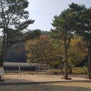 백암수정분교 이미지