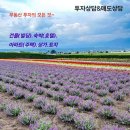 대산환경개발 이미지