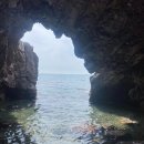 스테이사룡 이미지