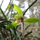 상조도보건진료소 이미지