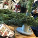 키즈 플라워와 방학생활 이미지