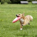 21세기 동물병원 이미지