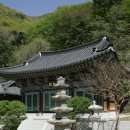 장춘사 5층석탑 이미지