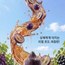 알와이오 (RYO) 네이버블로그