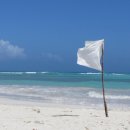 이성규축사 이미지