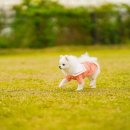 소풍호텔 이미지