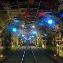 청도레일바이크 이미지