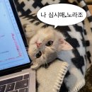 새말1길 | 늦은 3월 이야기 드립니다