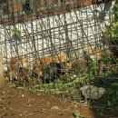 엄마농장 이미지