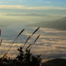 삼인동약수터앞 이미지