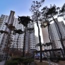 노은일번지공인중개사사무소 이미지