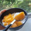 청수리아파트 | 🌿제주 여행 깨끗하고 조용한 감성 숙소｜청수리아파트 솔직 후기