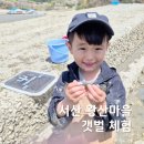 왕산어촌체험휴양마을 | 충남 서산 왕산 어촌체험마을에서 바지락 잡고 왔어요.