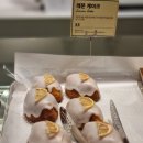 마고노더니스