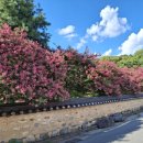신숭겸장군유적지 이미지