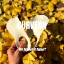 온의로 L | 발바닥아치통증 흐트러진 자세 커브온 탄성아치가이드로 일상이 편안했던 후기