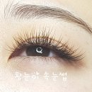 왕눈이속눈썹
