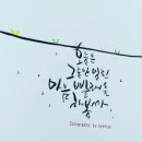 광수세탁 이미지
