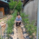 삼성이용소 이미지