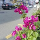 경아다방 이미지